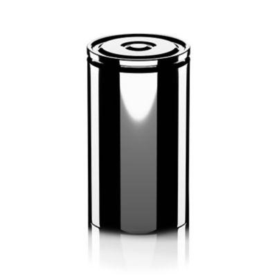Lithium-Sulfur Battery Technology
